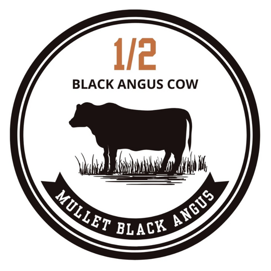 1/2 Black Angus Cow